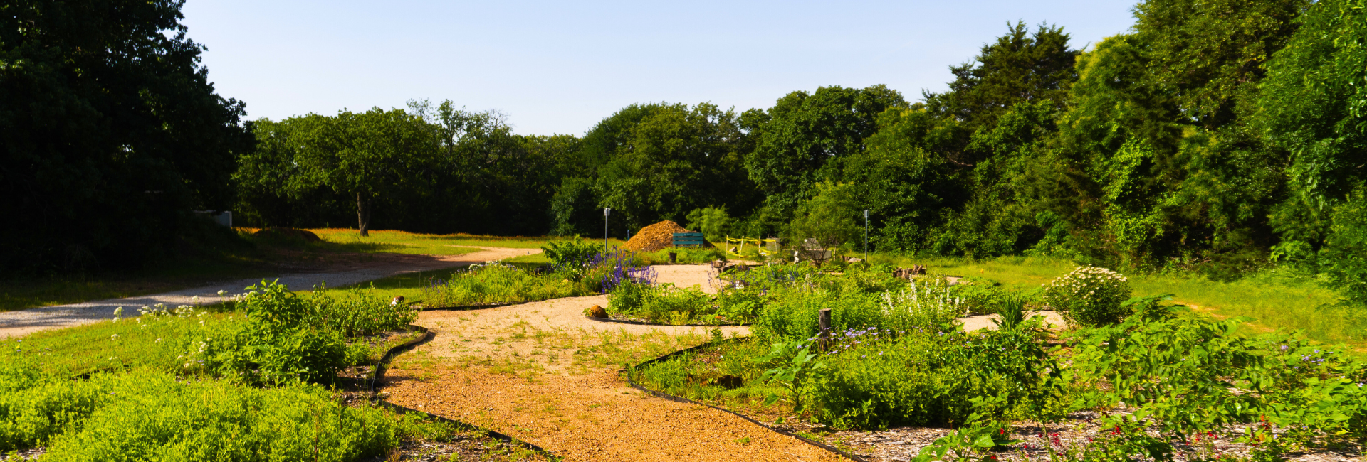 butterfly garden