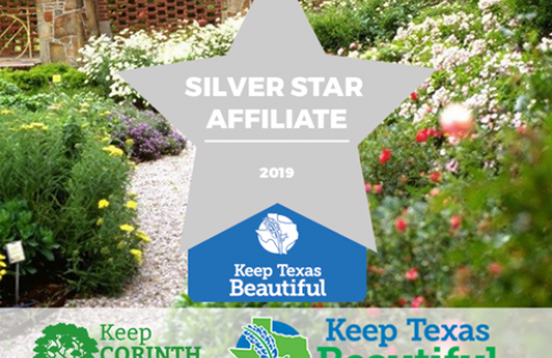 kcb silver star