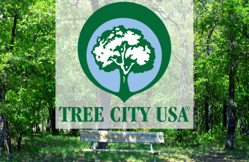 tree city usa