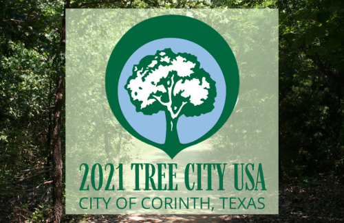 tree city ussa