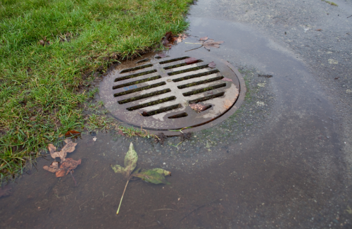 Storm Water Pollution Solutions