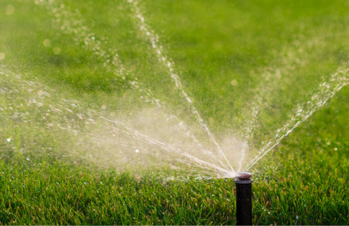 Free Irrigation Check Up