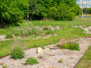 garden 1