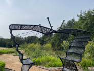Butterfly Garden