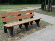 bench