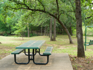 bench
