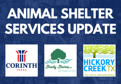 animal shelter update