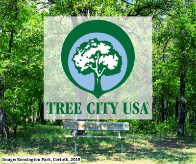 tree city usa