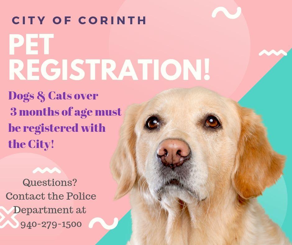 Dogs registration shop